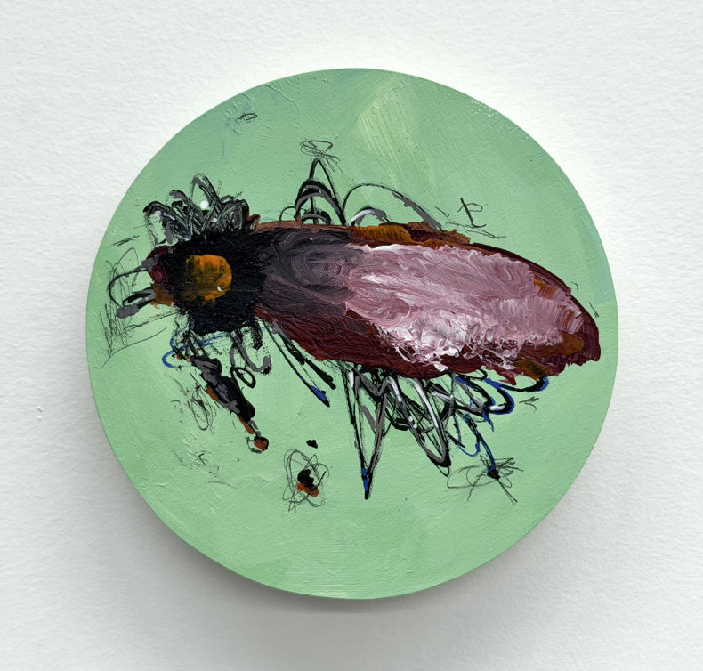 Roulis de 17 degrés